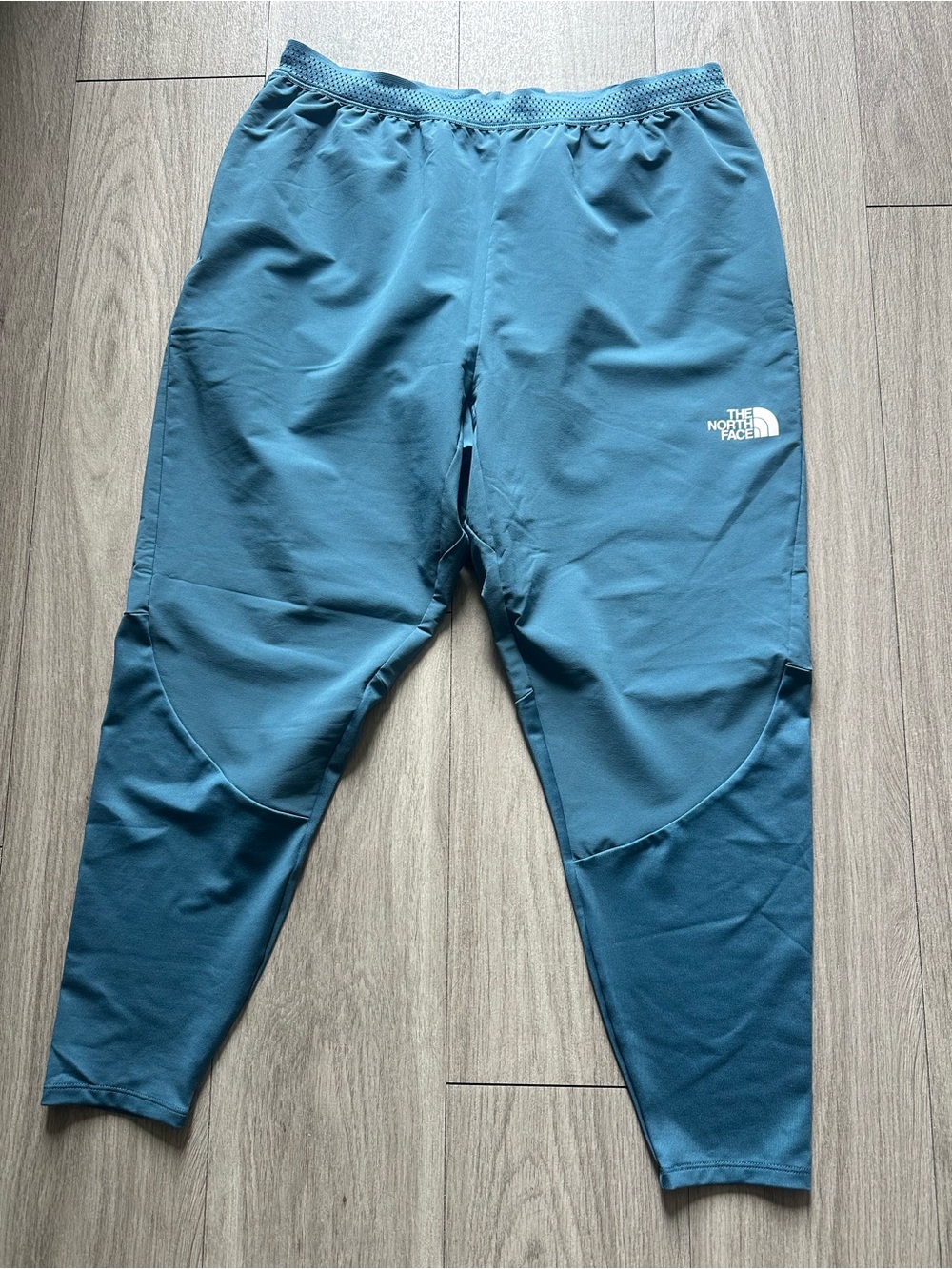 The North Face Teal Men’s Athletic pants